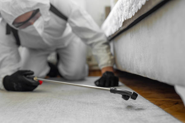 Professional Ant Control technician working in Lake Waynoka, OH